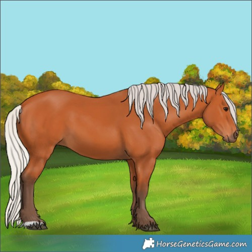 Horse Color:Unknown 