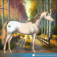 Horse Color:Gold Champagne Dun Appaloosa 
