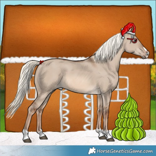 Horse Color:Red Dun Mushroom 