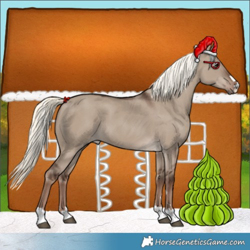 Horse Color:Liver Red Dun Mushroom 