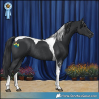 Horse Color:Black Tobiano Rabicano