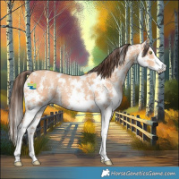 Horse Color:Amber Champagne Sabino Rabicano 