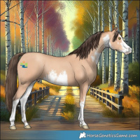 Horse Color:White Spotted Amber Champagne Rabicano
