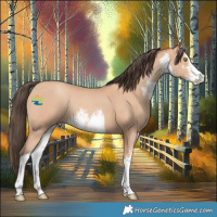 Horse Color:White Spotted Amber Champagne Rabicano 