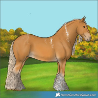 Horse Color:Powder White Palomino