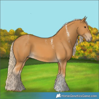Horse Color:Powder White Palomino