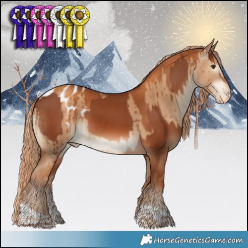 Horse Color:Chestnut  and Gray Gold Champagne Dun Tobiano Appaloosa Brindle 