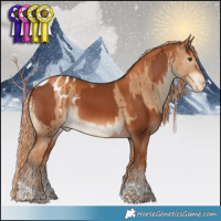 Horse Color:Chestnut and Gray Gold Champagne Dun Tobiano Appaloosa Brindle