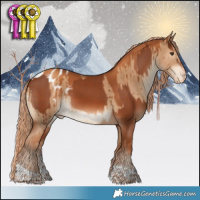 Horse Color:Chestnut  and Gray Gold Champagne Dun Tobiano Appaloosa Brindle 