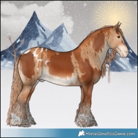 Horse Color:Chestnut and Gray Gold Champagne Dun Tobiano Appaloosa Brindle