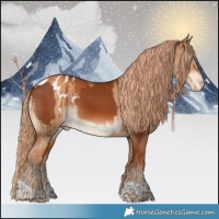 Horse Color:Chestnut and Gray Gold Champagne Dun Tobiano Appaloosa Brindle