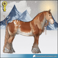 Horse Color:Chestnut and Gray Gold Champagne Dun Tobiano Appaloosa Brindle
