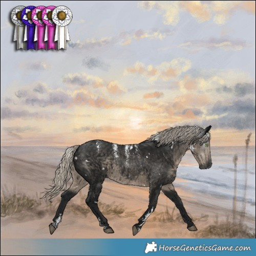 Horse Color:Powder White Gray White Spotted Silver Smoky Black 