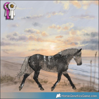 Horse Color:Powder White Gray White Spotted Silver Smoky Black 