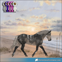 Horse Color:Powder White Gray White Spotted Silver Smoky Black 