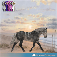 Horse Color:Powder White Gray White Spotted Silver Smoky Black 