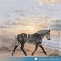 Horse Color:Powder White Gray White Spotted Silver Smoky Black