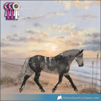Horse Color:Powder White Gray White Spotted Silver Smoky Black 