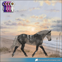 Horse Color:Powder White Gray White Spotted Silver Smoky Black 