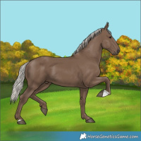 Horse Color:Silver Black 