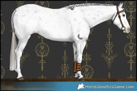 Horse Color:Liver Chestnut Sabino Splash Snowflake Varnish