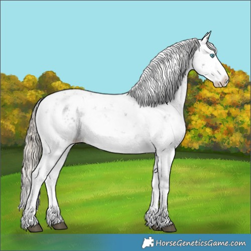Horse Color:Liver Chestnut Sabino Splash Snowflake Varnish