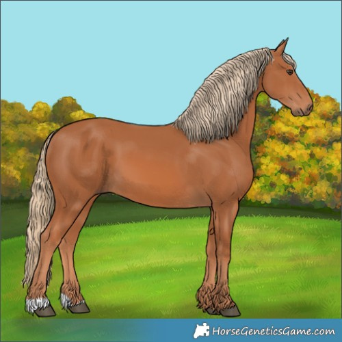 Horse Color:Chestnut 