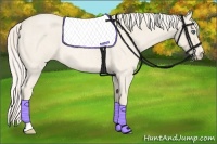 Horse Color:Cremello Roan 
