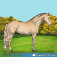 Horse Color:Palomino Dun Splash 
