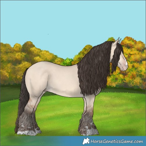 Horse Color:Amber Champagne Dun