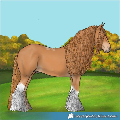 Horse Color:Chestnut Tobiano 