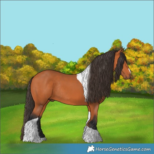 Horse Color:Bay Tobiano Rabicano