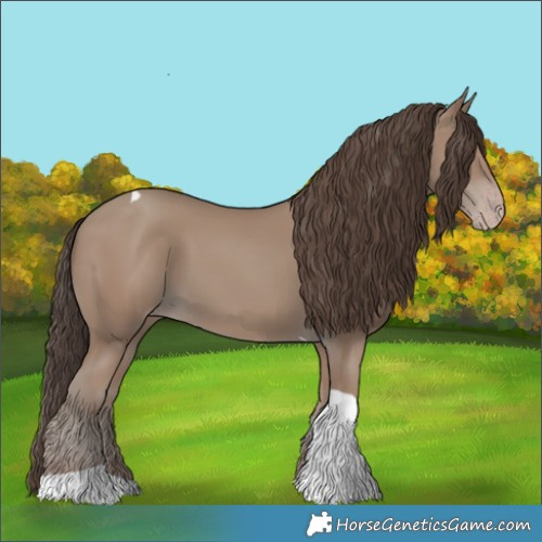 Horse Color:Classic Champagne Tobiano 