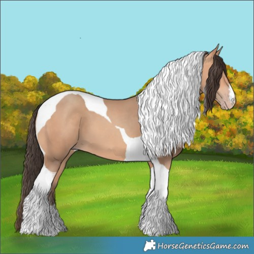 Horse Color:Amber Champagne Tobiano