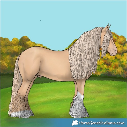 Horse Color:Gold Champagne Tobiano 