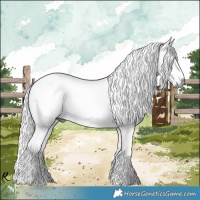 Horse Color:Liver Chestnut Chinchilla Rabicano 