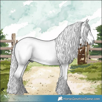 Horse Color:Liver Chestnut Chinchilla Rabicano 