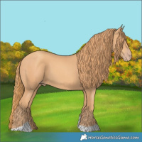 Horse Color:Gold Champagne Tobiano 