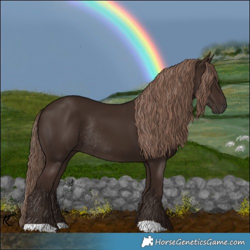 Horse Color:Liver Chestnut Rabicano 