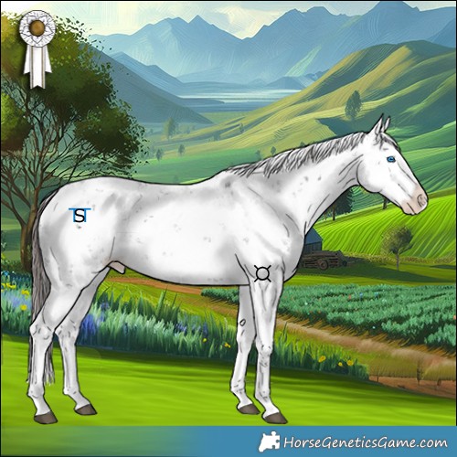 Horse Color:Liver Chestnut Sabino Splash Appaloosa 