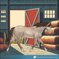 Horse Color:Amber Champagne Dun 