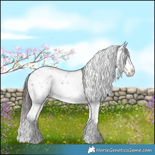 Horse Color:Liver Chestnut Sabino Splash Appaloosa