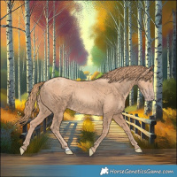 Horse Color:Gold Champagne 