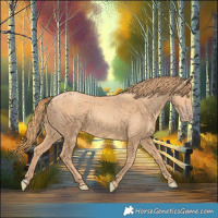 Horse Color:Gold Champagne 