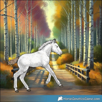 Horse Color:Chestnut Sabino 