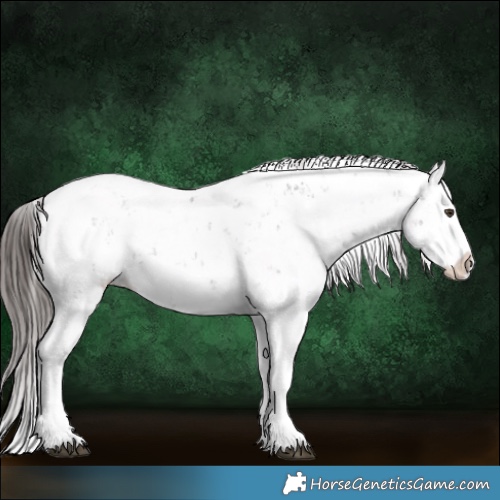 Horse Color:Liver Chestnut Sabino Splash Snowflake Varnish