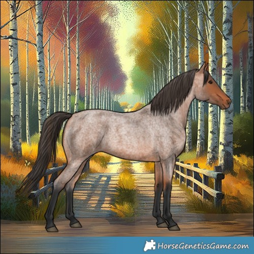 Horse Color:Bay Roan