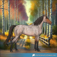 Horse Color:Bay Roan 