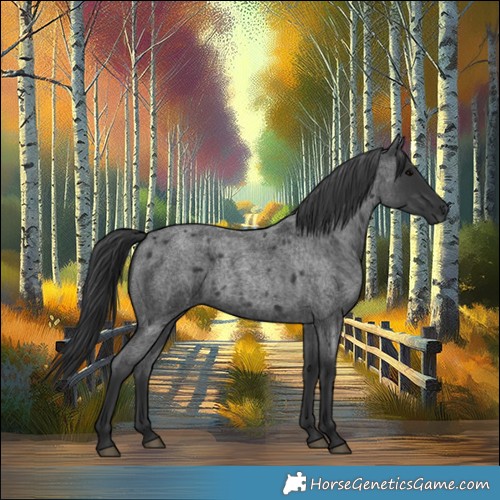 Horse Color:Blue Roan