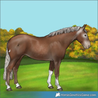 Horse Color:Gray Silver Black Pearl Tobiano